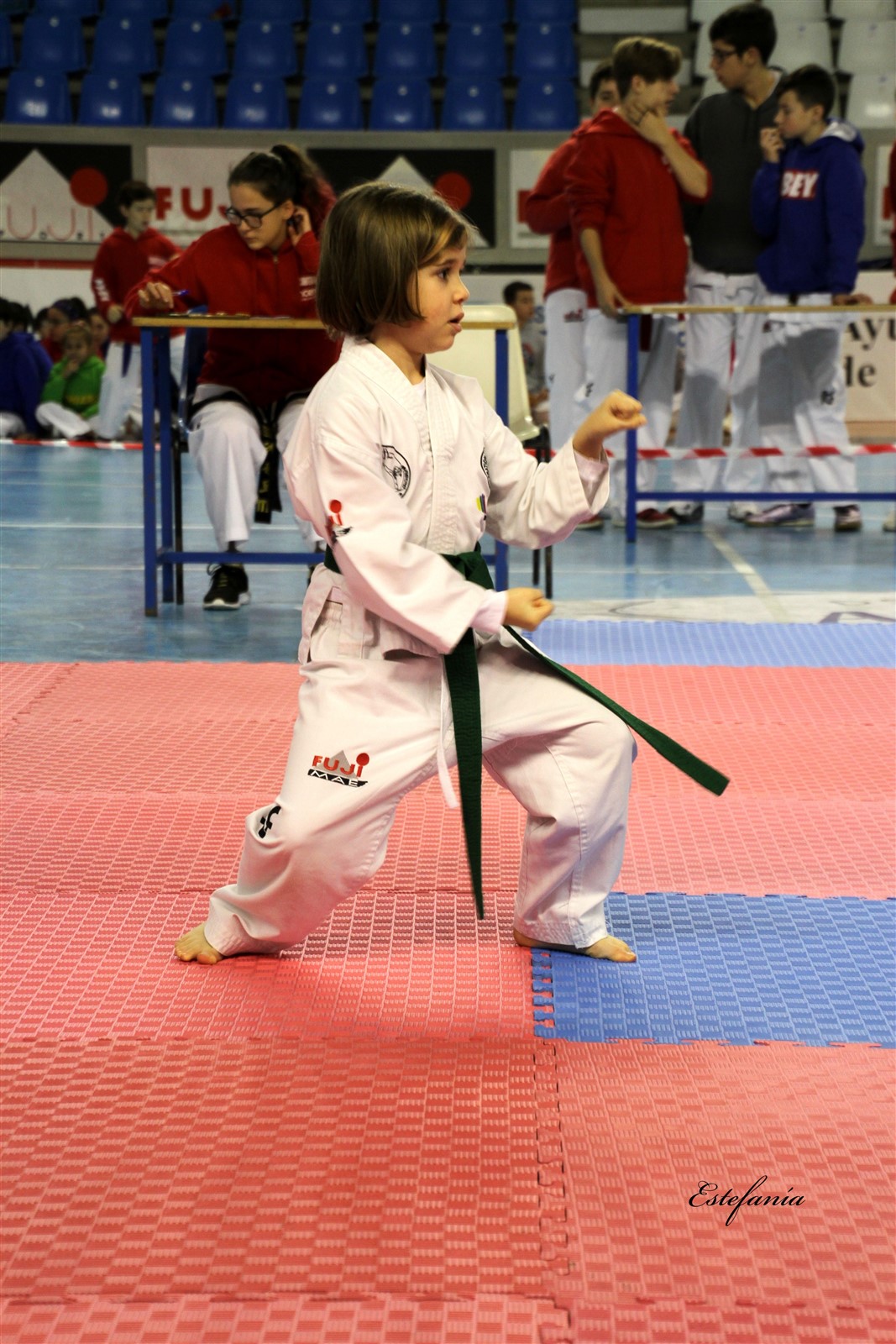 Taekwondo (45).jpg
